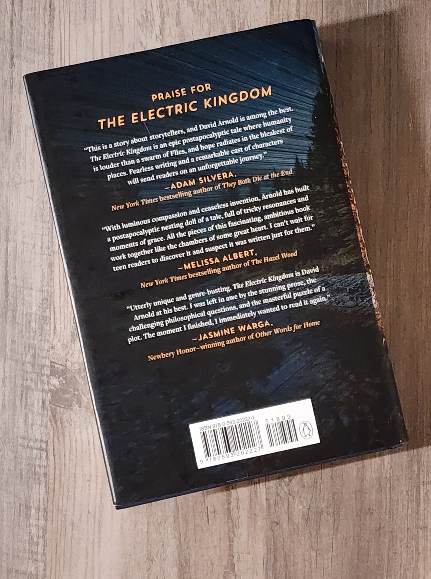 The Electric Kingdom, Hard Cover by David Arnold