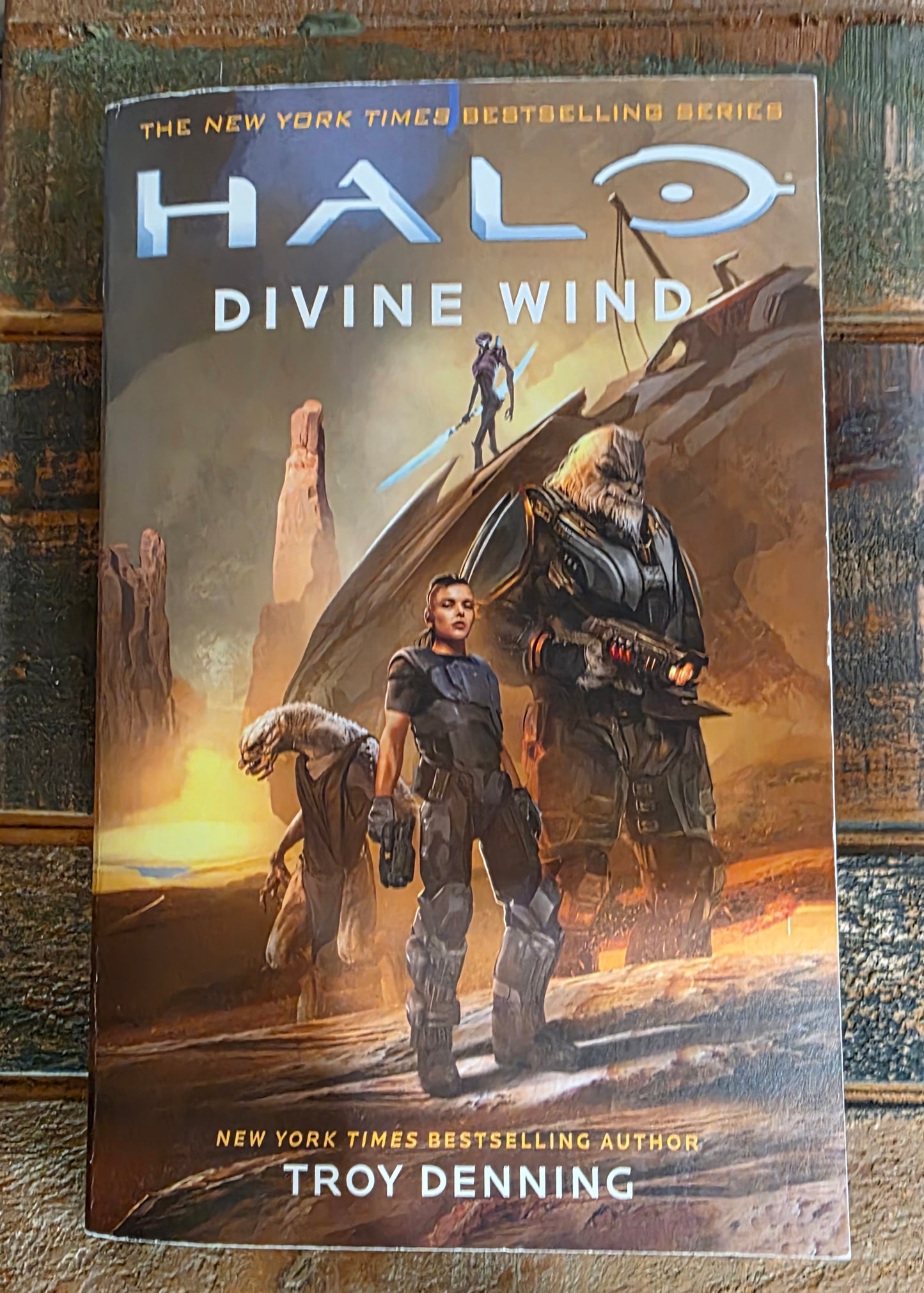 Halo: Divine Wind by Troy Denning