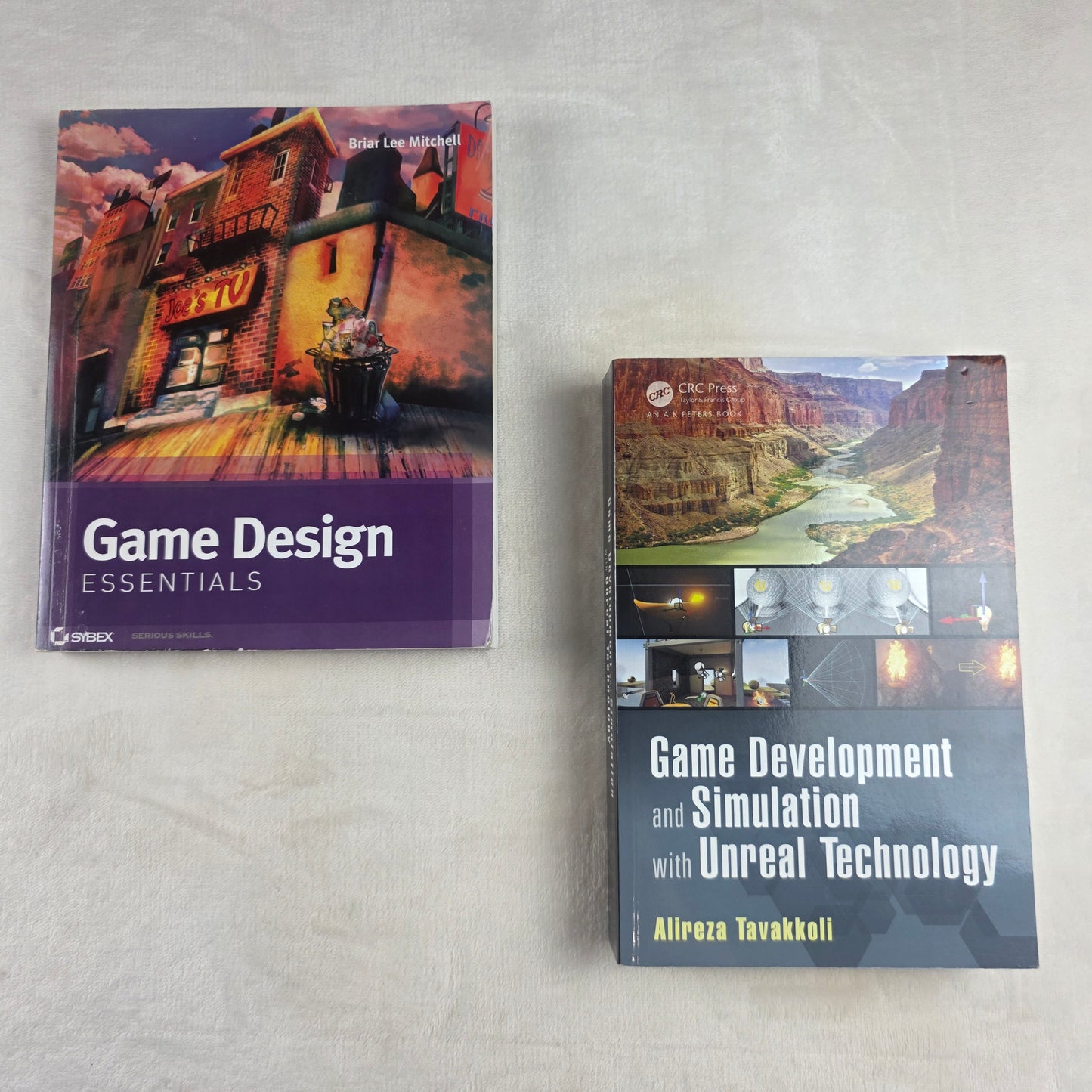 Game Development & Design Book Lot Unreal Technology + Game Design Essentials