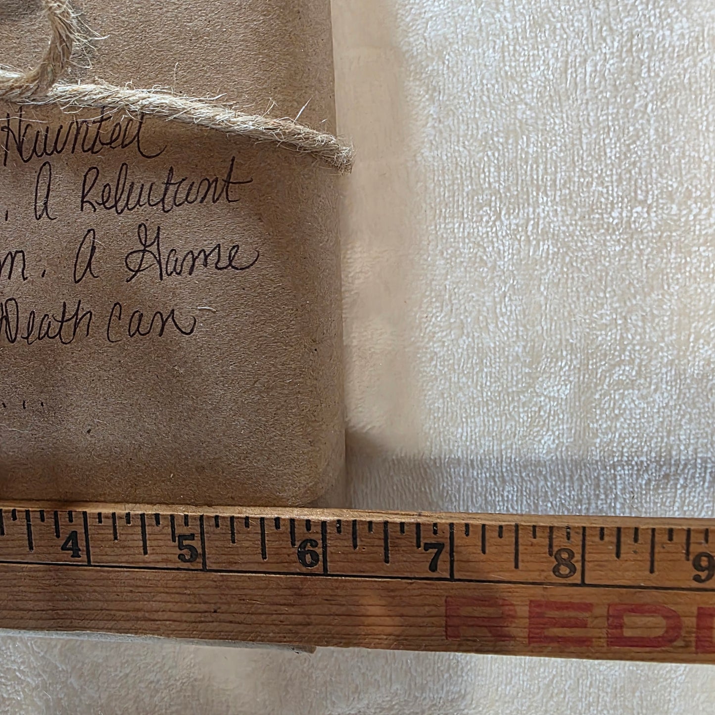 Blind Date With A Book Haunted House Paranormal Mystery Supernatural Fiction