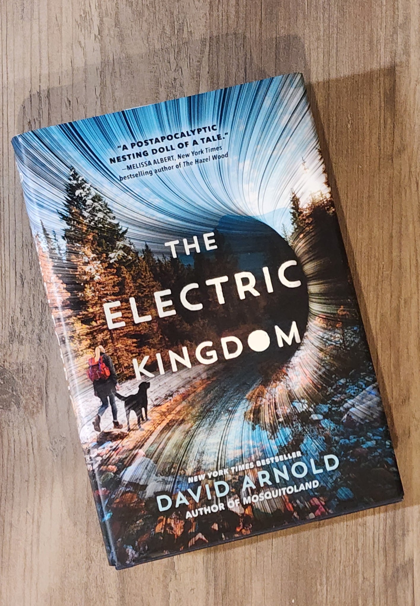 The Electric Kingdom, Hard Cover by David Arnold