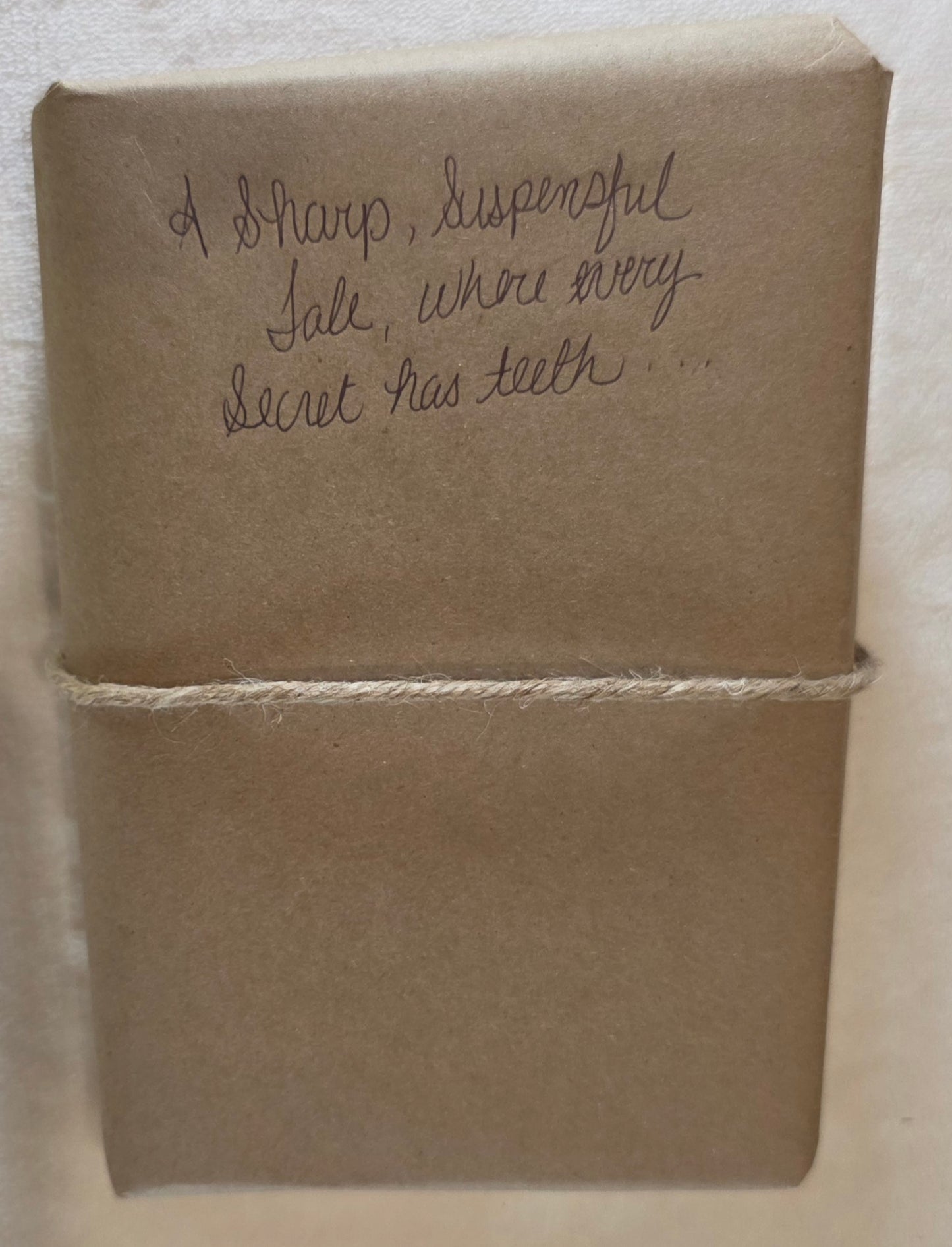 Blind Date With A Book Haunted House Paranormal Mystery Supernatural Fiction