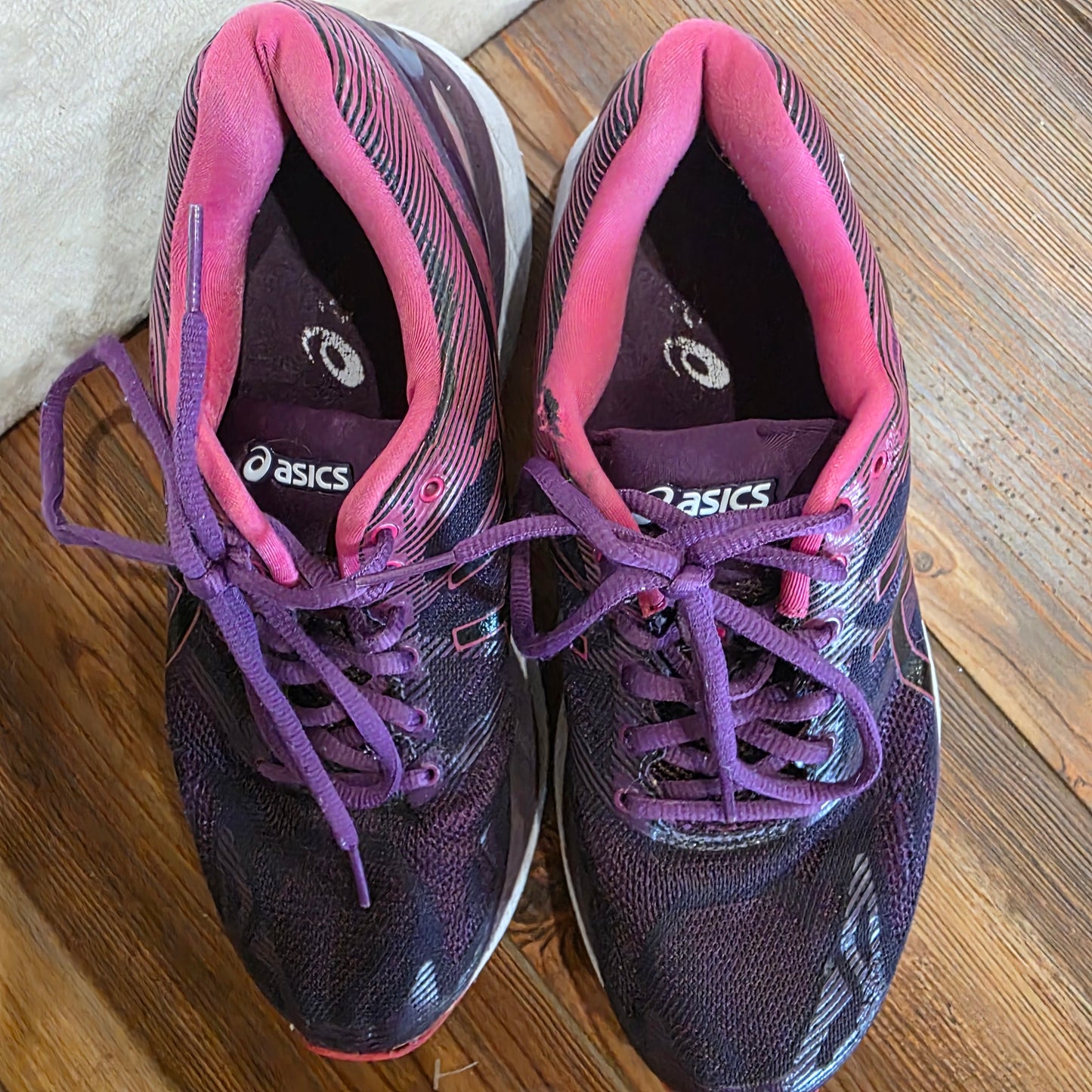 Women’s ASICS Gel-Nimbus 19 Black|Cosmo Pink|Winter Bloom Running Shoes US 7