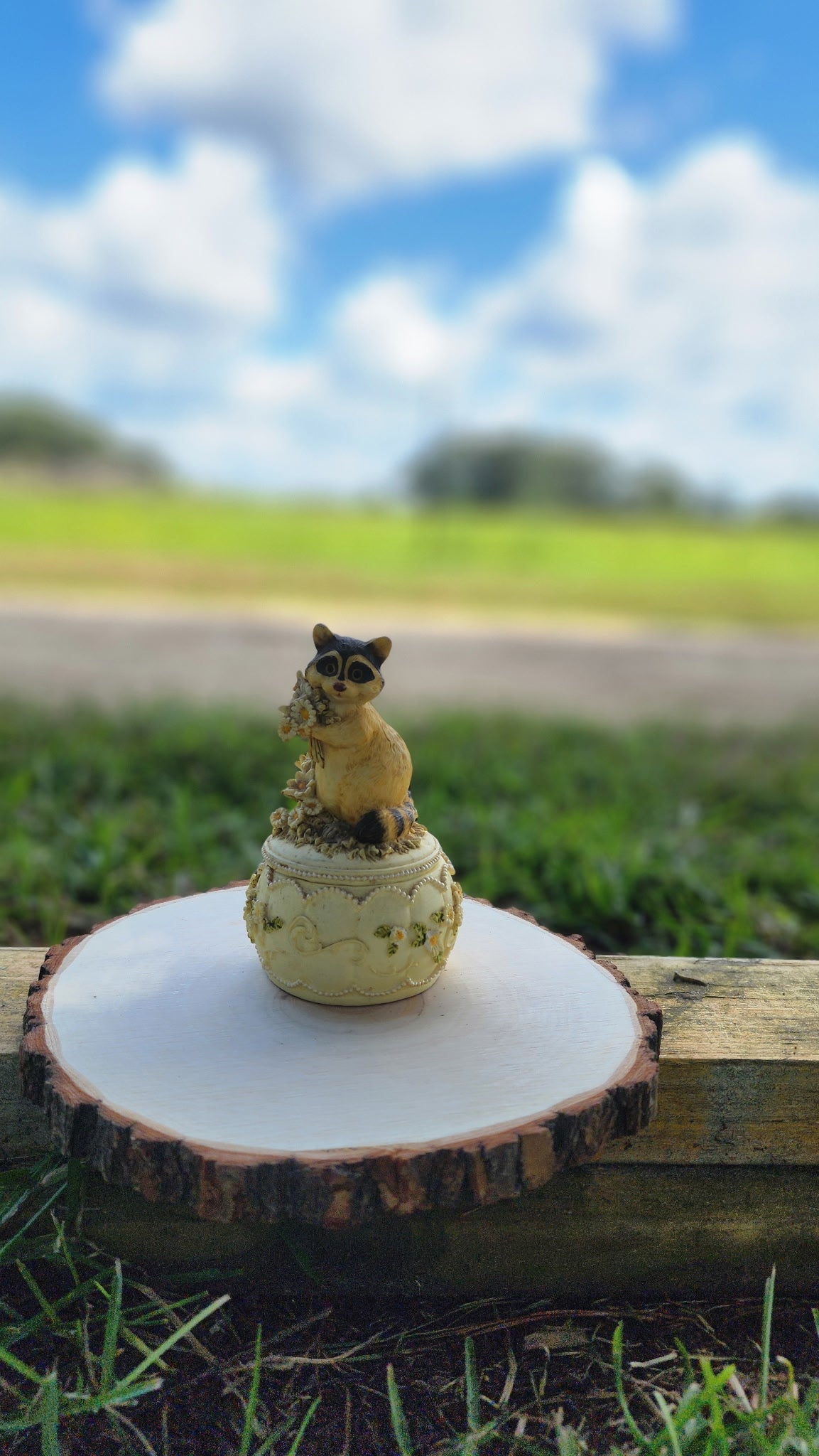 Vintage Heritage House Collection Raccoon Music Trinket Box