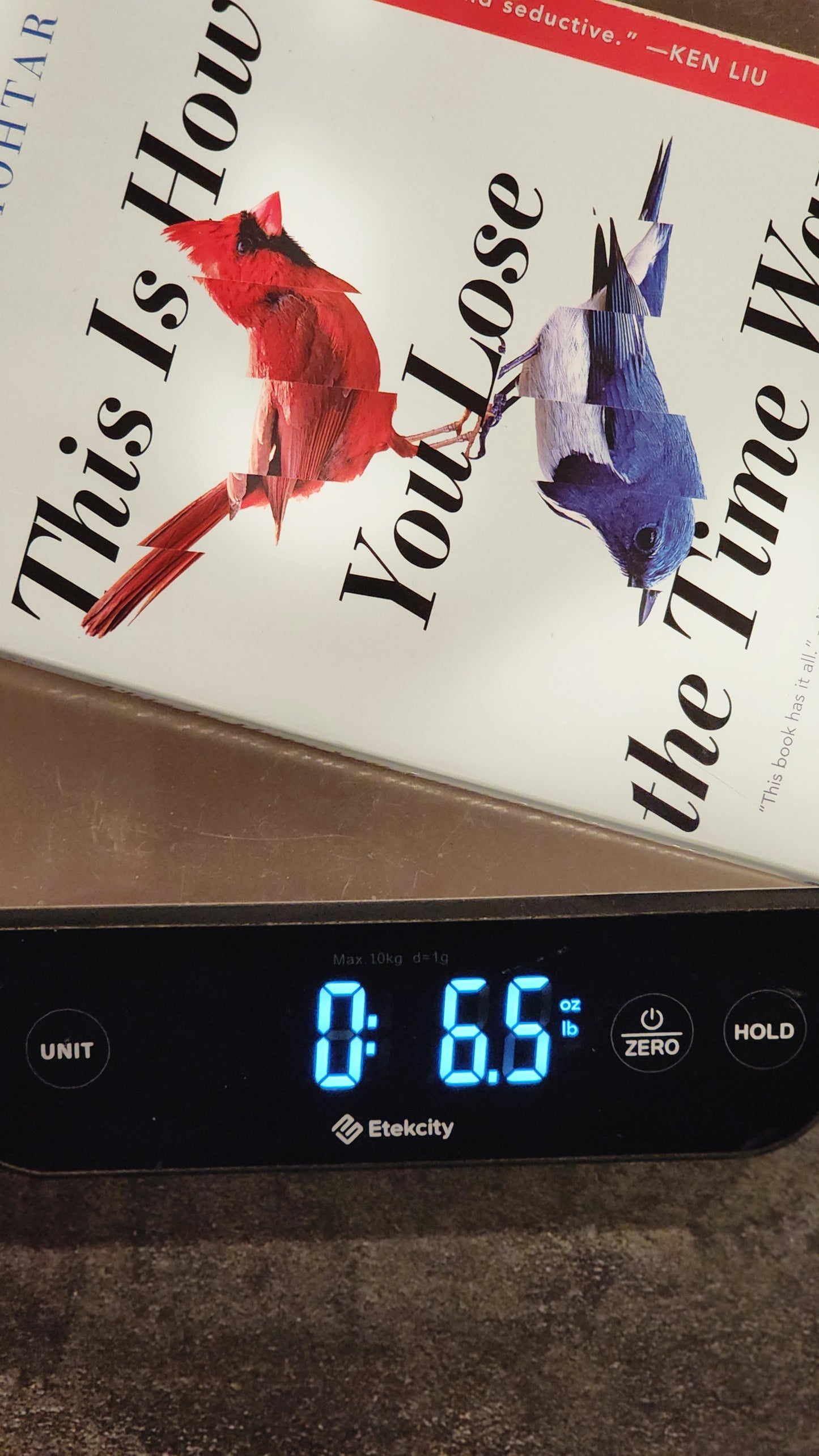 This Is How You Lose the Time War – First Edition Paperback by Amal El-Mohtar & Max Gladstone